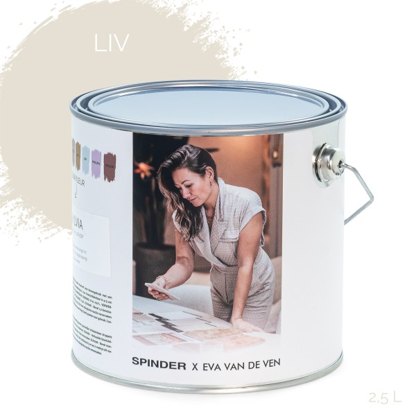 Product SPINDER X EVA 2,5L Wall paint - Liv